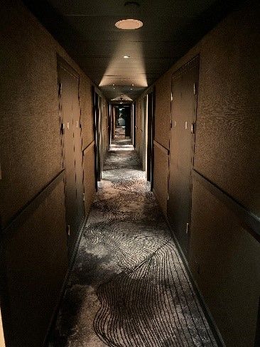 hilton-2-jpg